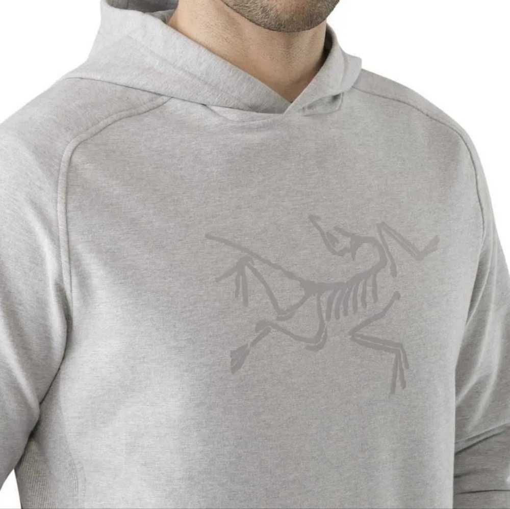 Arc’teryx Archaeopteryx Pullover Hoodie - Picture 2 of 8